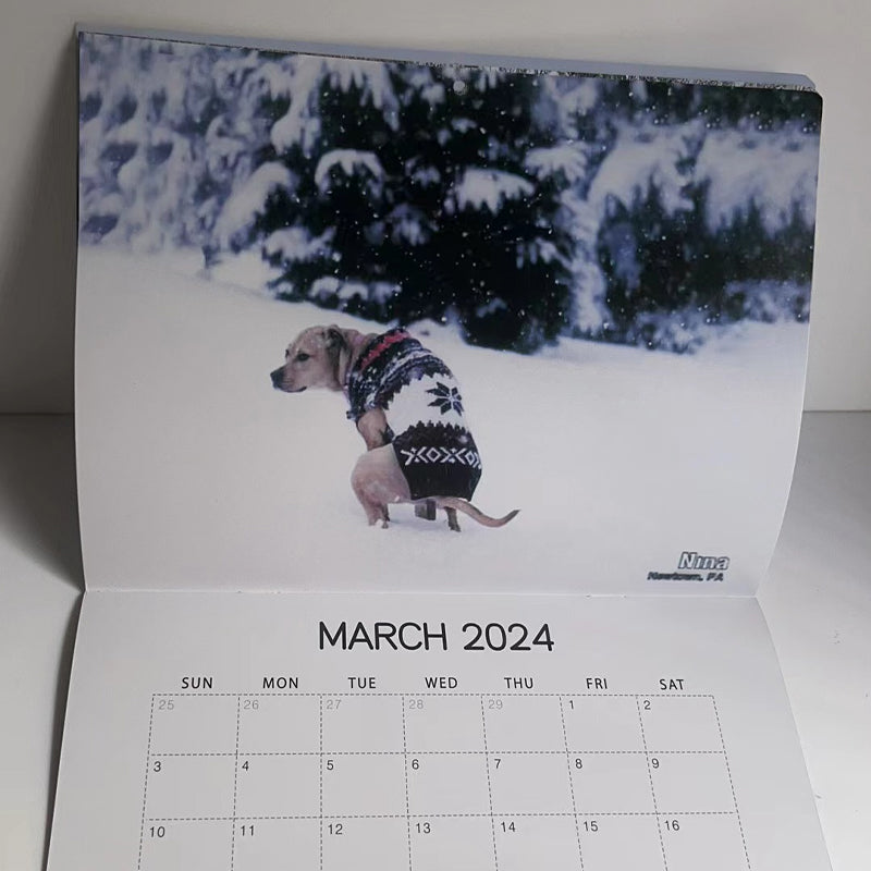 2024 Dogs Pooping in Beautiful Places Calendar